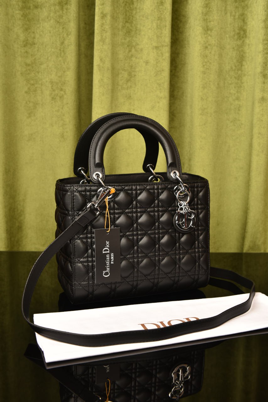 Lady CD Bag
