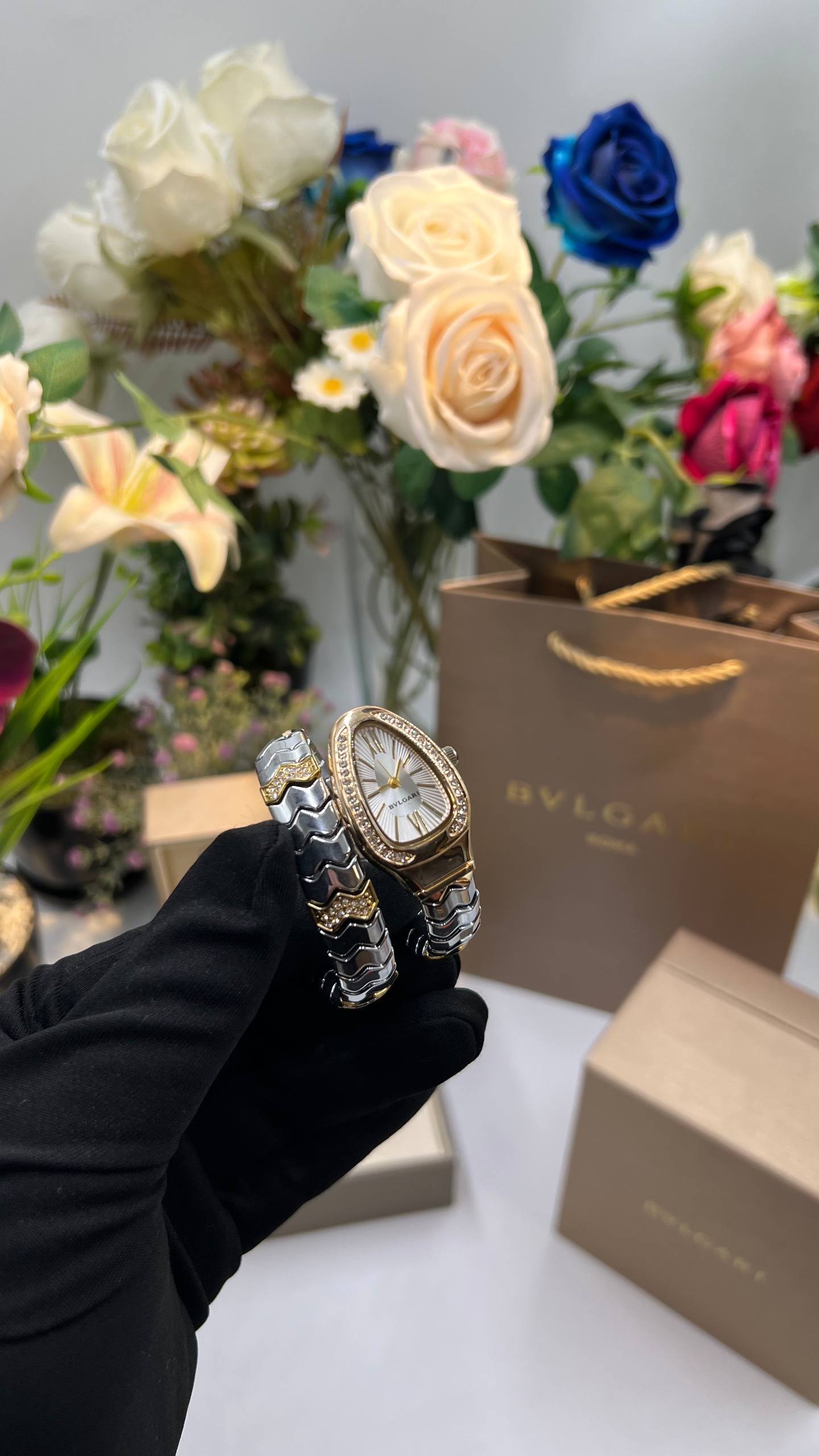 BVIGARl - Watch