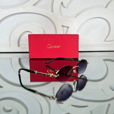 C - Sunglasses
